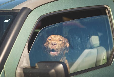 Ready to Wave Goodbye to Hot Flushes?: Your Ultimate Guide to Finding Relief