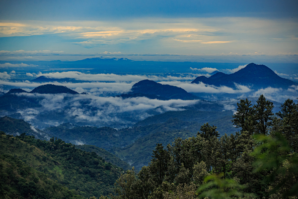 Sri Lanka's Pekoe Trail: Unveiling the Heart of the Central Hills