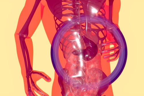 The Gut Microbiome and Cardiovascular Disease