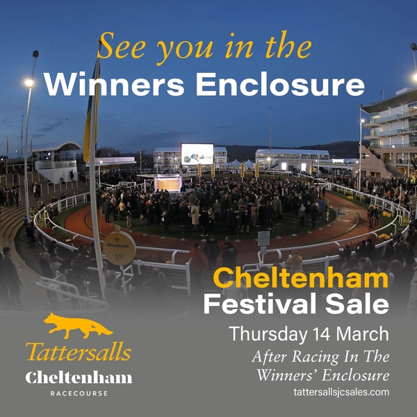 Cheltenham Festival Sale Thursday 14th March 6.15pm