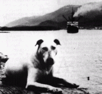 Patsy Ann, Official Greeter of Juneau