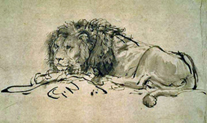 Drawing of a lion by rembrandt