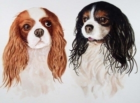 Two King Charles spaniels in watercolour and gouac