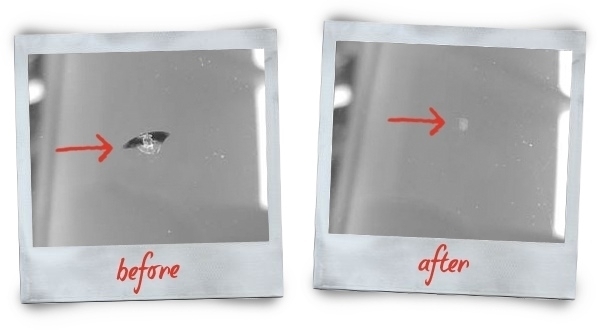 Windscreen Repair Services