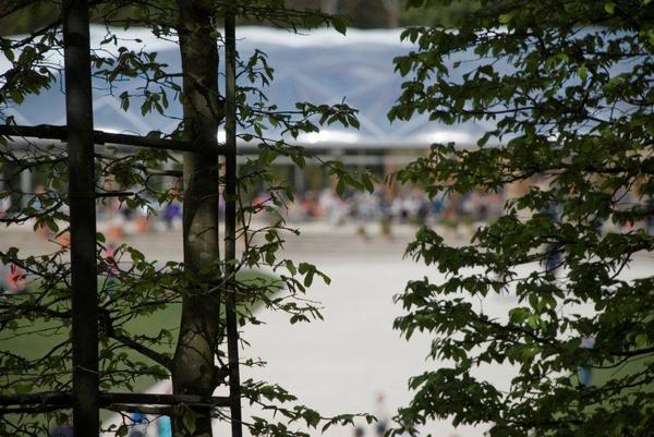 still banging on about china