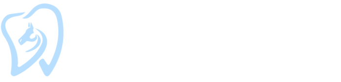 North West Equine Dental Practice, Wrexham | Horse dentist North Wales | Horse dentist Cheshire | Horse dentist Wirral