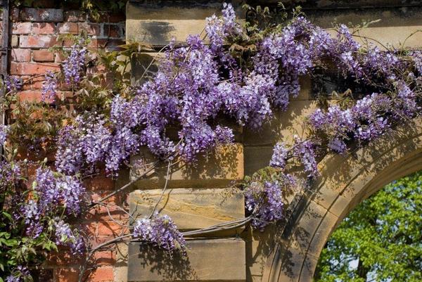 doom and gloom, still