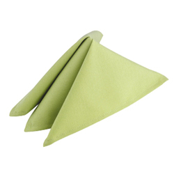 Kiwi Napkins