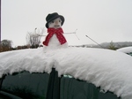 Snow, snow, thick thick snow