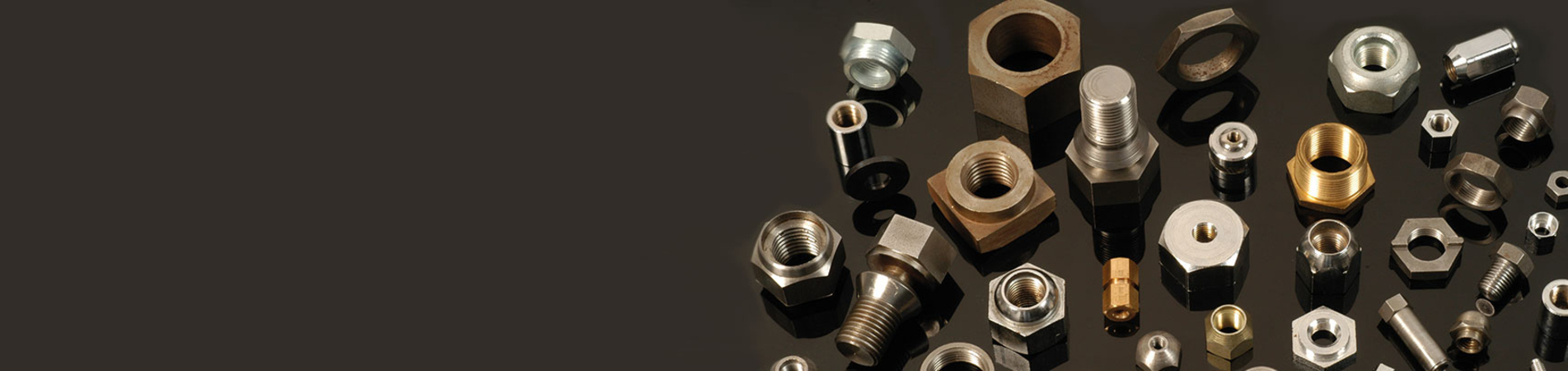 Specialist Nuts Fasteners Manufacturer 