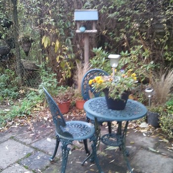 Cosy Wood Beamed Cottage On Equestrian Farm, Noverton Lane