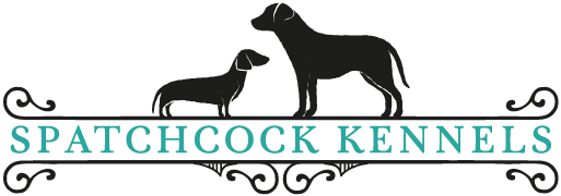 Dog Boarding Kennels in Gloucestershire - Spatchcock Kennels nr Cirencester