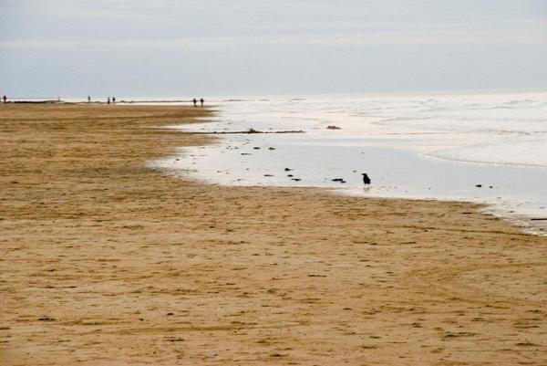 ...and pipe and slippers