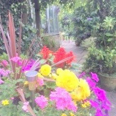 Cosy Wood Beamed Cottage On Equestrian Farm, Noverton Lane