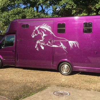 2009 Renault Master 2.5TD Horsebox 3.5t with living 2 Berth 55211 miles