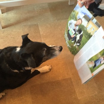 excitied and honoured