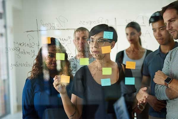 Facilitation, Stakeholder/Public Engagement