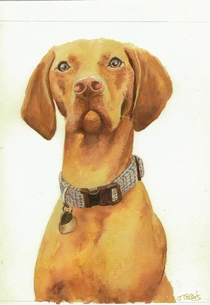 Comments from clients 