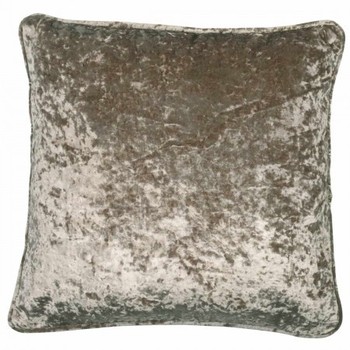 Crushed Velvet Champagne