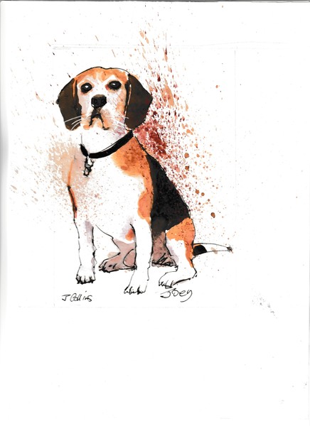 Comments from clients 