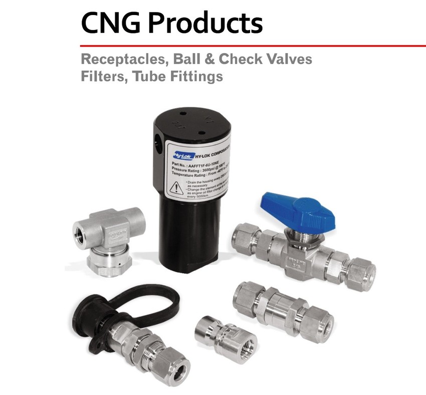 CNG Components Infographic