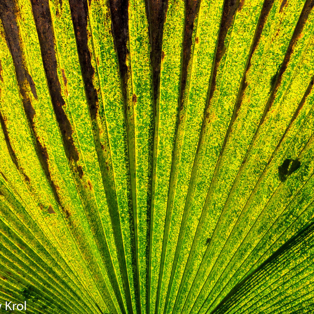 Nature 7