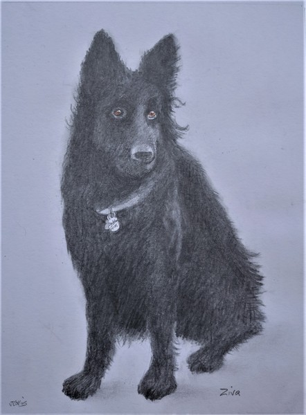 Comments from clients 