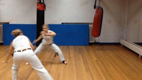 Capoeira Classes West London, Kids Capoeira Classes South West London, Capoeira Workshops London