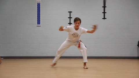 Capoeira Classes West London, Kids Capoeira Classes South West London, Capoeira Workshops London