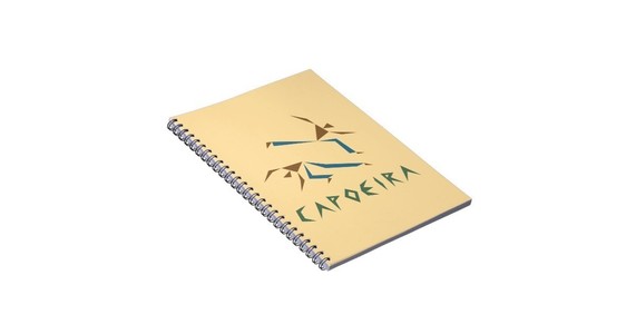 Capoeira Classes West London, Kids Capoeira Classes South West London, Capoeira Workshops London