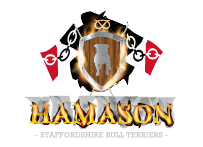 HAMASON SBT