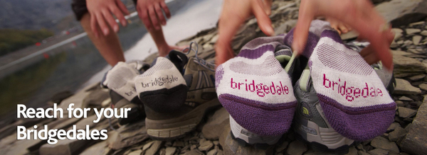 Bridgedale