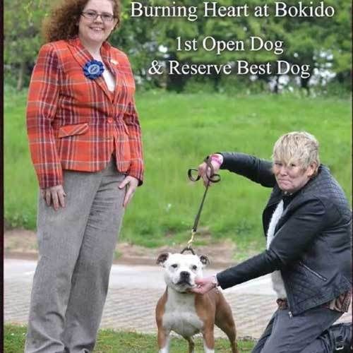 The Birmingham & District Gundog & Terrier Club - 20th April 2014 - Clare Robinson-Cox