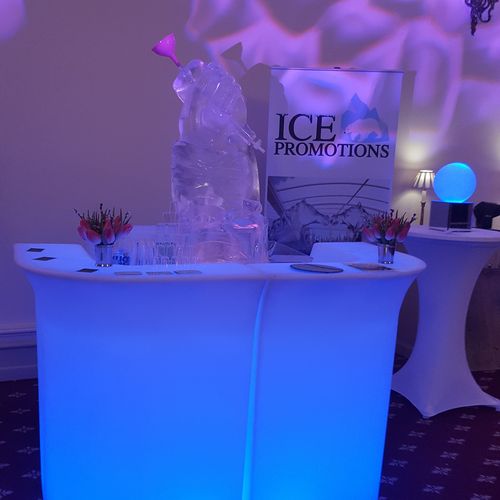 The Vodka Ice Luge