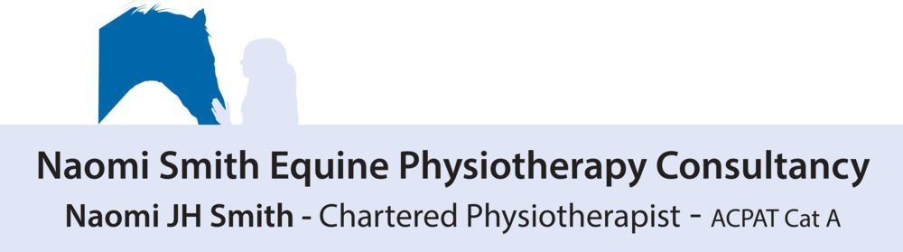 Naomi J H Smith chartered physiotherapist equine rider horse