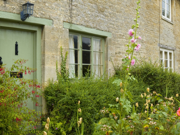 Specialist Report / Survey