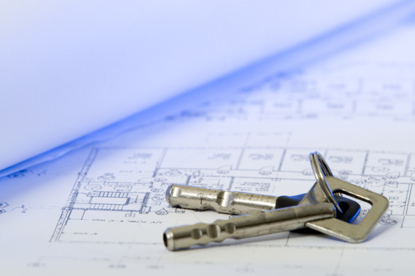 Expert Witness Report/Valuation