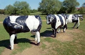 Milton Keynes is on the moo-ve