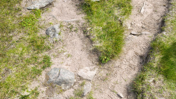 Cranial Osteopathy Somerset, Psychotherapy Somerset, Psychotherapy Dorset,