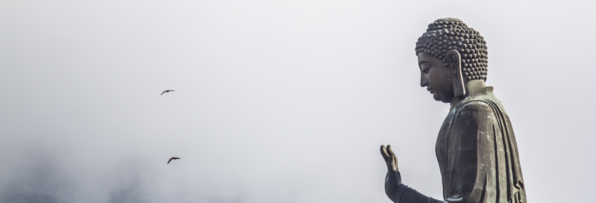 Mindfulness Based Psychotherapy, Online Psychotherapy