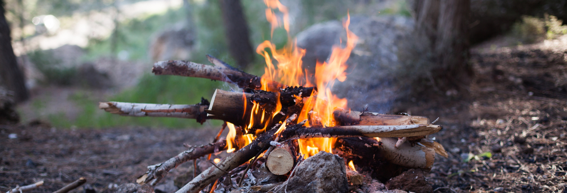 Mindfulness Based Psychotherapy