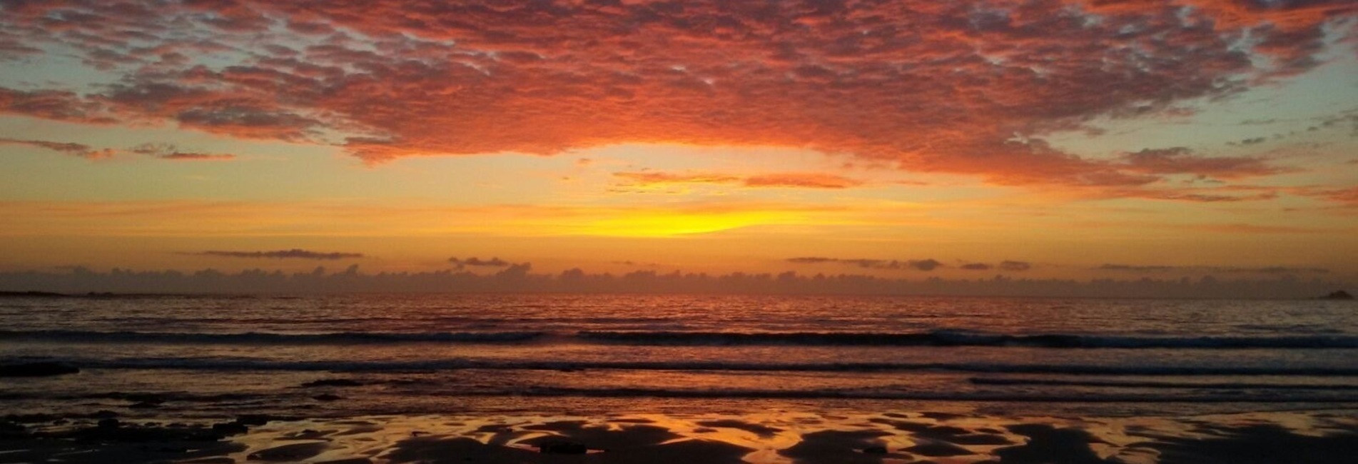 Cranial Osteopathy Somerset, Psychotherapy Somerset, Psychotherapy Dorset,