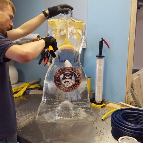 The 'Venus de Milo' Ice Luge