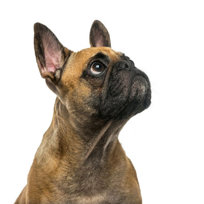 Windlesham, Lightwater, Bagshot, West End, Chobham, Bisley, Sunningdale, Virginia Water.