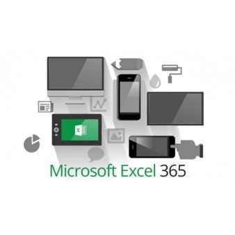 Microsoft Excel 2013/ Excel 365