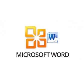 Microsoft Word 2010
