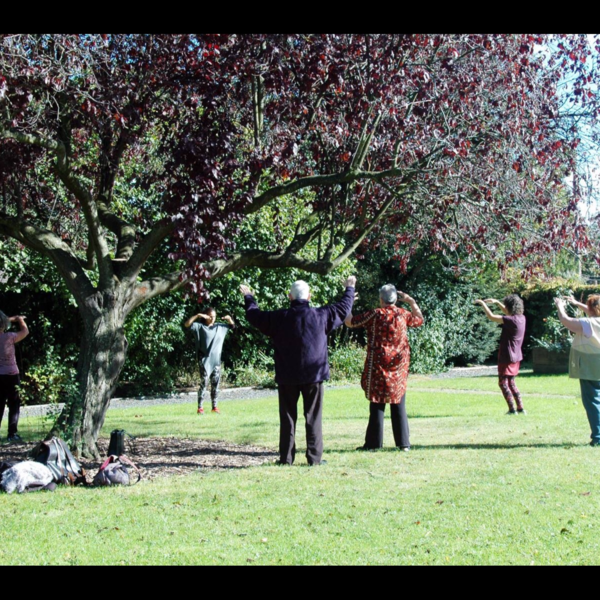 Tai chi movements for wellbeing