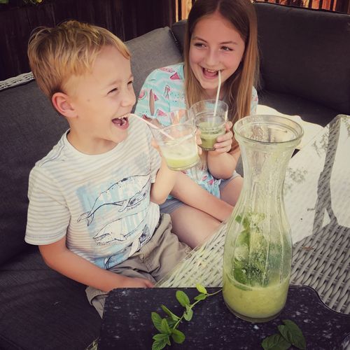 Gooseberry and Mint Crush