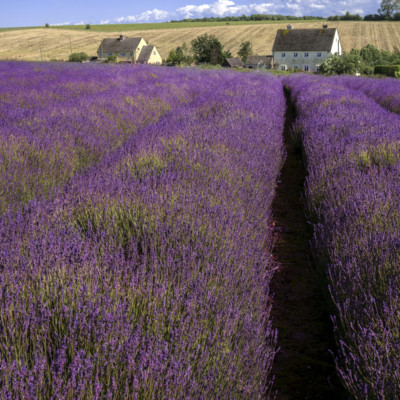 Taxis Bourton on the water, Taxis stow on the wold, Taxis in the costswolds