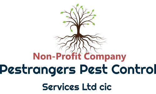 Pestrangers Pest and Pigeon Control Services | Pest and Woodworm Control. A non for profit company  Norfolk, Suffolk ,Cambridge. Rodent and bird control, Insect Control. Reasonable Priced company. local pest company